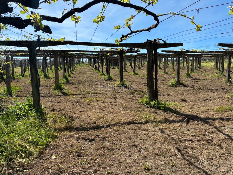 Foto fa832261-0b76-421f-a3f5-6c1cf2639418. Casa a Ribadumia