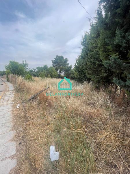 Foto d6369d65-7f50-4a5c-a90e-1a81de1710b8. Wohngrundstück in Pioz