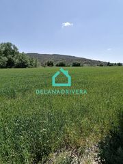 Finca rústica a Calle benito torres 5. Parcela en ambite