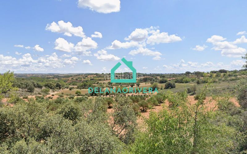 Foto b6450d4d-b633-4edb-9133-f3628bba6554. Finca rústica a calle benito torres 5 a Ambite