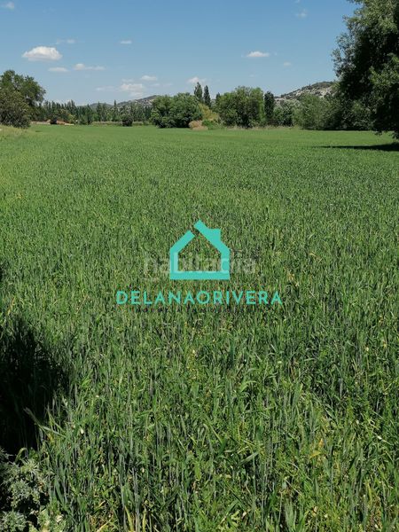 Foto f0fadcbe-61a8-4881-a50d-07cd1181ed2a. Finca rústica a calle benito torres 5 a Ambite