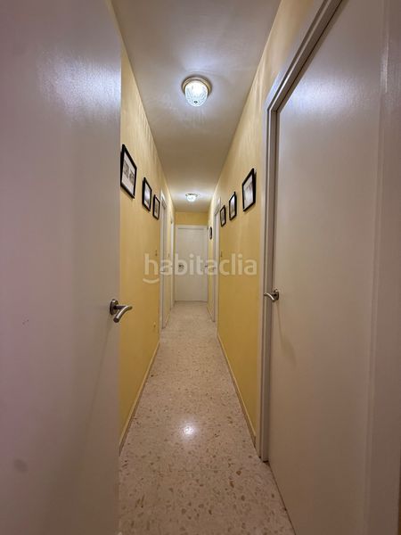 Foto 7fba49e9-d120-47c3-91e3-ac6120f4eff8. Pis a San Carlos - San José Sevilla