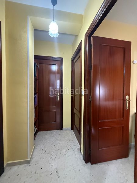 Foto eb79dad4-f8f5-4ded-8606-362293a4ff2f. Pis a El Torrejón - El Cerezo Sevilla