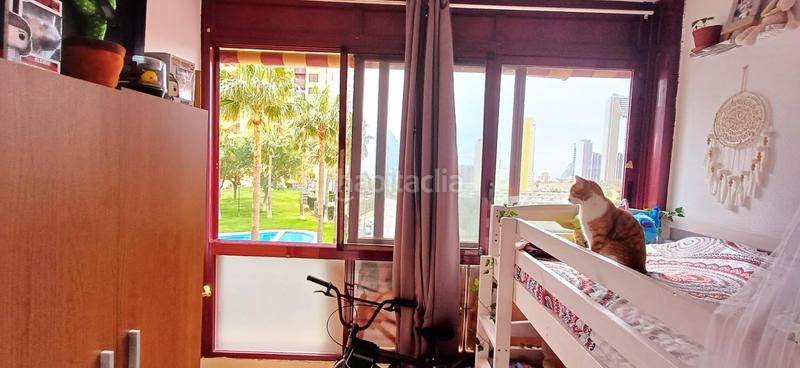 Foto 545360eb-4140-4648-8d9e-d6e0c63b14d0. Apartamento  en zona poniente en Via Parque Benidorm