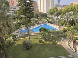 Lloguer Apartament  Avenida paris. Apartamento en alquiler en benidorm con terraza y piscina