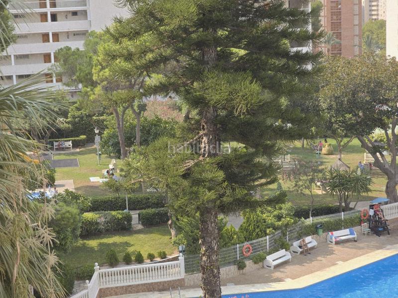Foto 1ec234c5-26e6-46cb-b75e-98c977b06b4b. Location appartement avec piscine dans Rincón Alto Benidorm