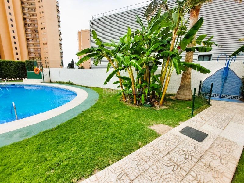 Foto 48317603-cfa9-4f1f-b6c7-b12bed147b0a. Apartament amb aparcament piscina a Juzgados - Plaza de Toros Benidorm