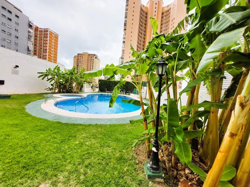 Foto 89396e70-92b4-40ba-83d8-bc11871d0325. Apartament amb aparcament piscina a Juzgados - Plaza de Toros Benidorm