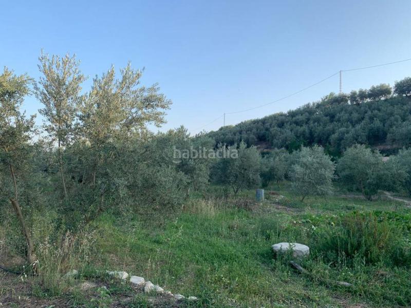 Foto 22f5c130-fafb-4ece-9543-4e453ab61143. Propriété dans Villanueva Mesía