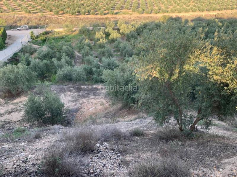 Foto 360b655a-5d0c-45d5-91b2-566bdd438dbd. Propriété dans Villanueva Mesía