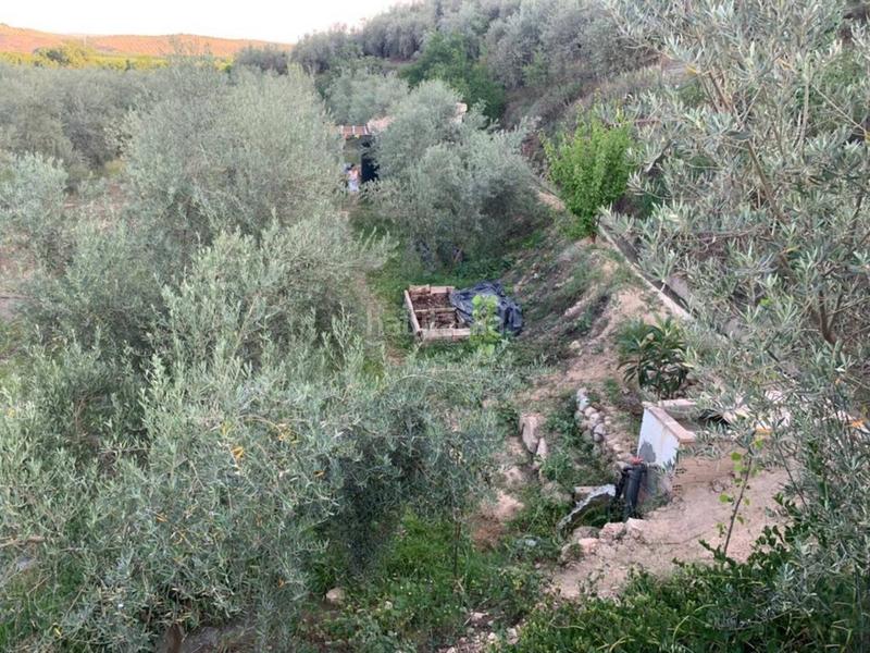 Foto 36d0fe04-a0a7-4f2b-b2f7-7d84c57bb64e. Propriété dans Villanueva Mesía