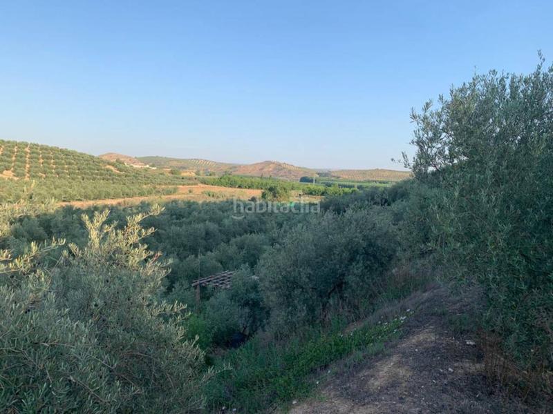 Foto 45481db5-26a6-425f-9851-30ebe4795a77. Propriété dans Villanueva Mesía