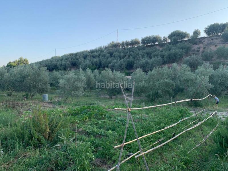 Foto 506cc480-9a35-44fe-ba4b-81d3a3712732. Propriété dans Villanueva Mesía