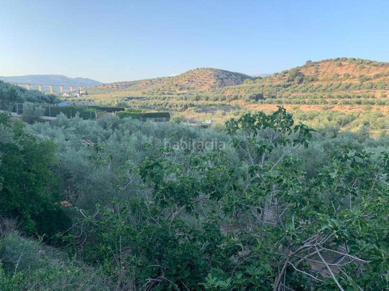 Foto 5ff806ea-bdf4-4658-a2b5-2ffe7b32e115. Propriété dans Villanueva Mesía