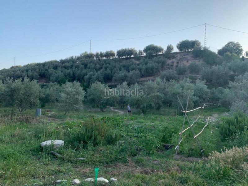 Foto 7b113784-5da8-416f-bc60-37fb6a4ce278. Propriété dans Villanueva Mesía