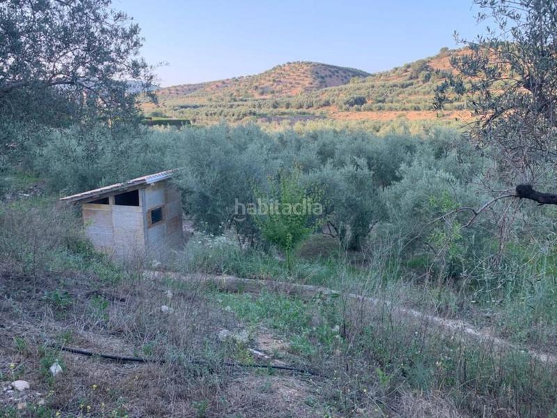 Foto a1044aa6-d93f-4d0c-b271-c639d28cf278. Propriété dans Villanueva Mesía