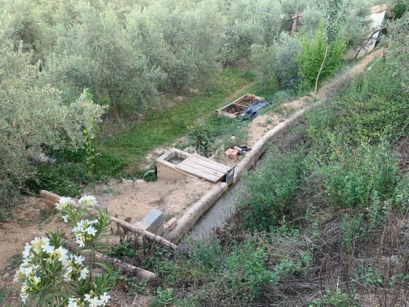 Foto f647e384-b963-424b-94f6-203d3b1c4710. Propriété dans Villanueva Mesía