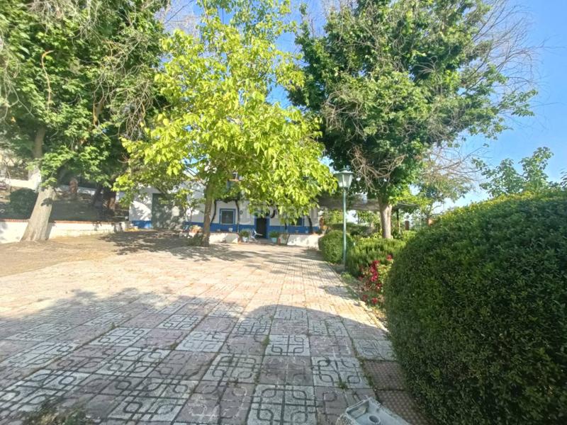 Foto 0b97d942-d615-4a41-bfd2-26b2cd7dc43c. Finca rústica cortijo en venta en Huétor Tájar