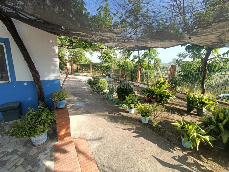 Foto 65b09677-787c-48e6-be4d-72f36f740785. Finca rústica cortijo en venta en Huétor Tájar