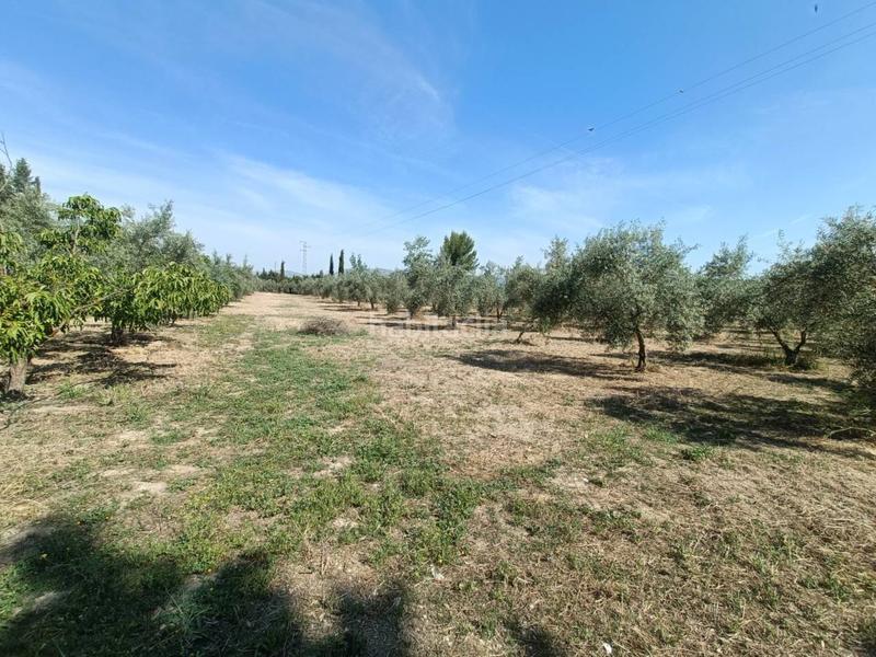 Foto b3102bb4-7789-4f81-8eaf-2ee3b6404307. Finca rústica cortijo en venta en Huétor Tájar