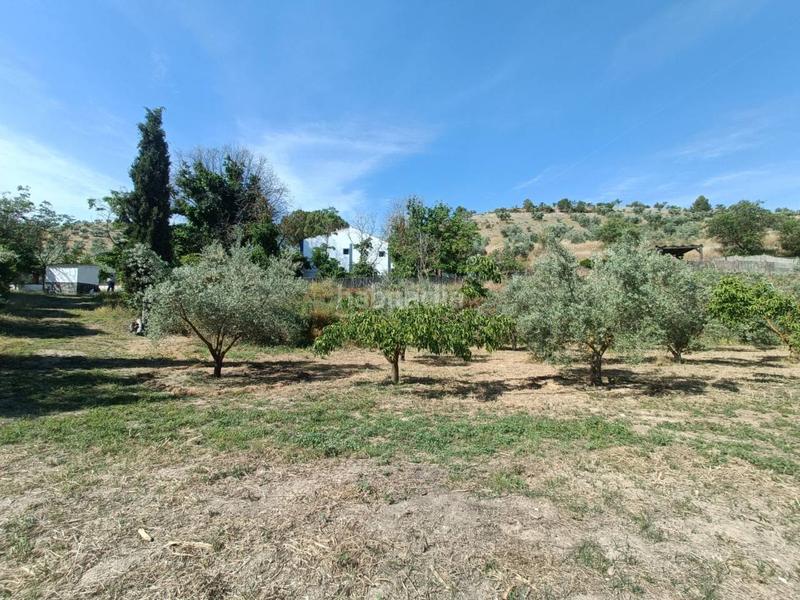 Foto eaaae7f5-39c0-4105-aa5e-4dc3d4c0963d. Finca rústica cortijo en venta en Huétor Tájar