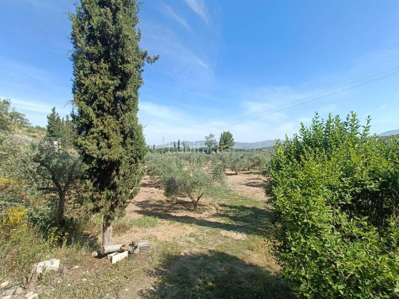 Foto ec9d45ee-0013-4f4a-83c0-65591bf9f630. Finca rústica cortijo en venta en Huétor Tájar