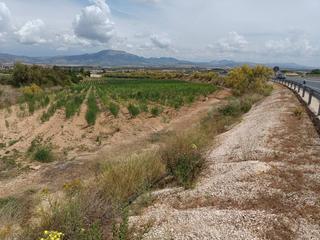Finca rústica a Moraleda de Zafayona. Terreno con esparragos