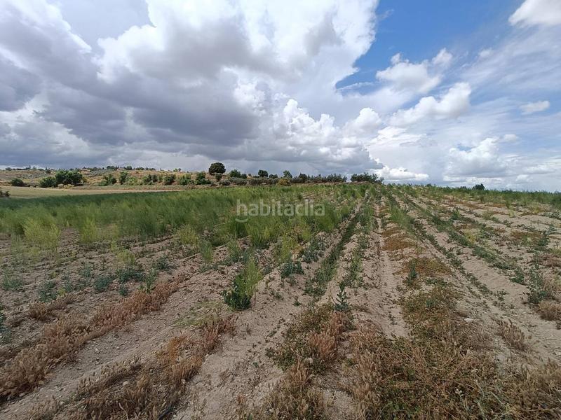 Foto 17e69628-8fb3-4b5a-ae72-4c66131a79a0. Finca rústica a Moraleda de Zafayona