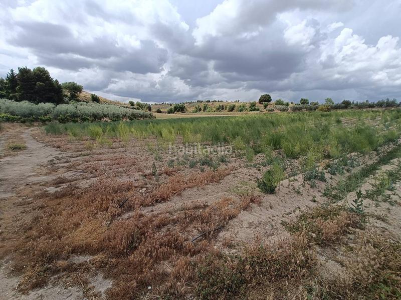 Foto 254be782-83a2-496d-be8e-8d232cee23b9. Finca rústica a Moraleda de Zafayona