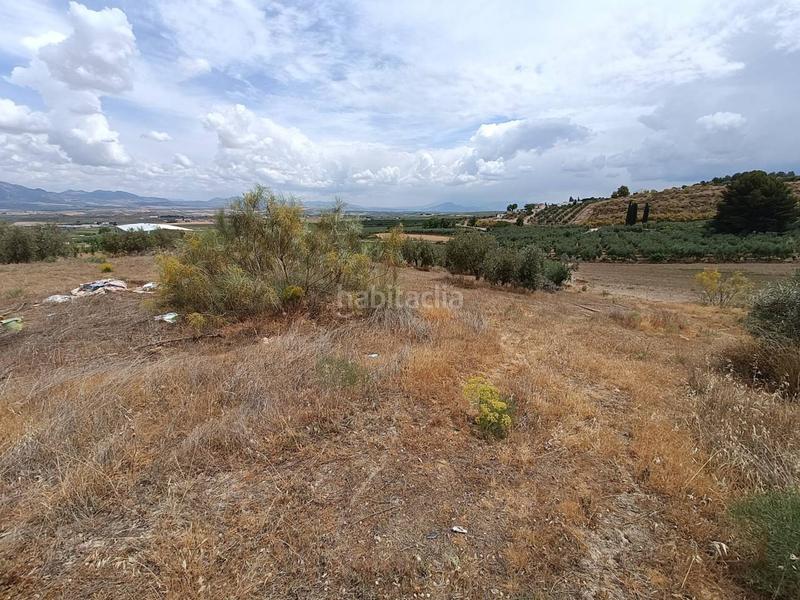 Foto 7d17128b-b97c-4c3f-8b63-138433381a2c. Finca rústica a Moraleda de Zafayona