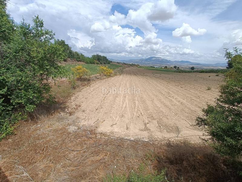 Foto 8f16ed8d-76a6-4934-b96e-b48e911e1a62. Finca rústica a Moraleda de Zafayona