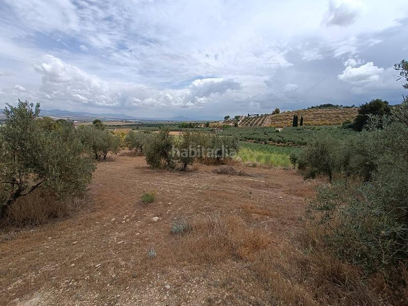 Foto ec807abe-c76d-48aa-aee1-260eb110d2eb. Finca rústica a Moraleda de Zafayona