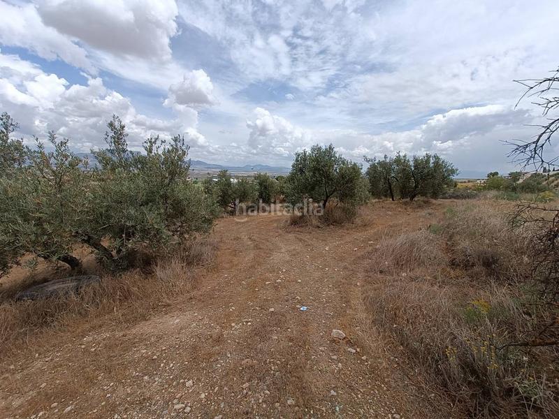 Foto ef316782-3bbc-47a4-904c-b5d887737786. Finca rústica a Moraleda de Zafayona