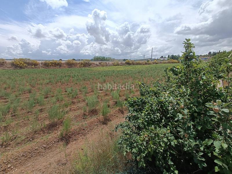 Foto c440549b-f468-419b-a294-39f2226adef7. Propriété dans Moraleda de Zafayona