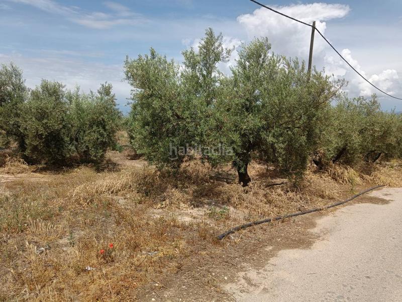 Foto f1d3c14e-78a9-4b05-8f9f-90f28d4a899f. Propriété dans Moraleda de Zafayona