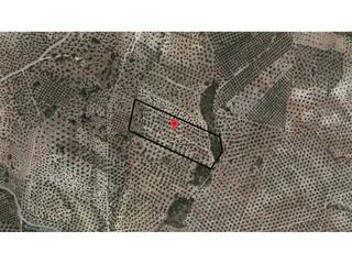 Finca rústica a Loja. Terreno en venta