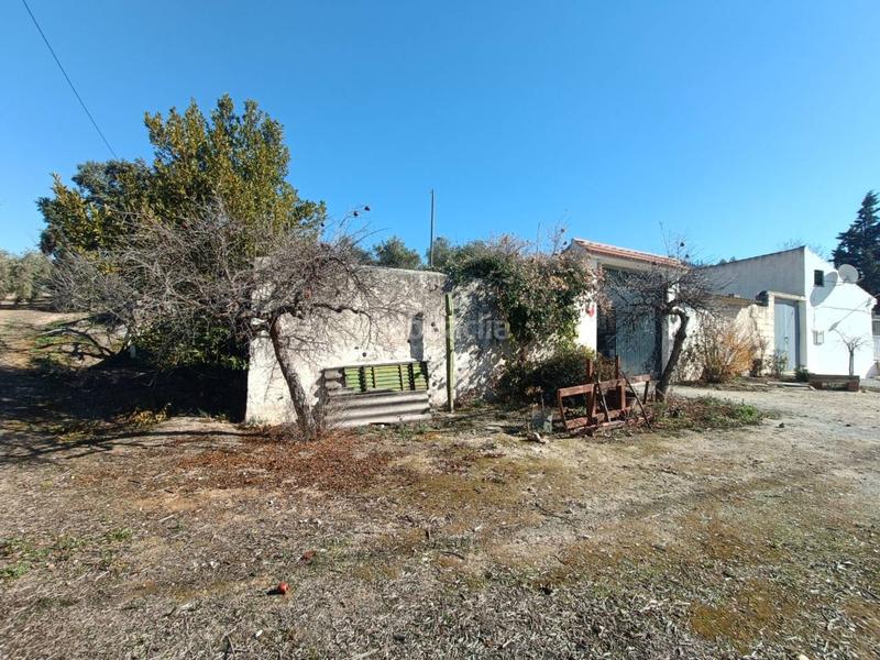 Foto b5dddb1e-0099-4c50-ad68-dd568ec2ce9e. Finca rústica a Moraleda de Zafayona