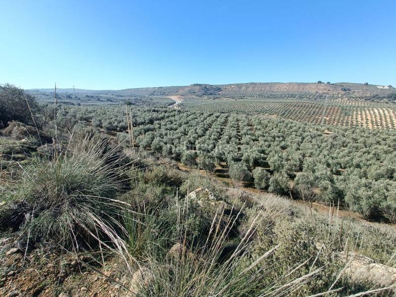 Foto cc3a1034-21ff-472f-8fa1-bf88ad98e8c1. Finca rústica a Moraleda de Zafayona