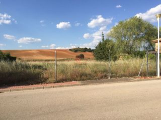 Finca rústica a ARCAS, CAÑADA MOLINA