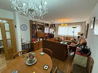 Pis  Periodista ricardo ortega. Fenomenal vivienda muy cntrica. impecable. accesible