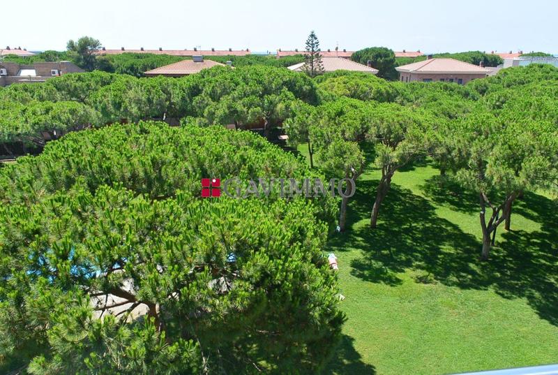 Foto 23090892-d1ba-4a6c-8c8e-c731d69ea0f8. Alquiler piso alquiler atico duplex en Gava Mar en Gavà