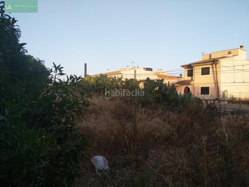 Foto 6b9ee97e-e43b-4eef-99e9-4f3083426b10. Terreno residenziale in Lloseta