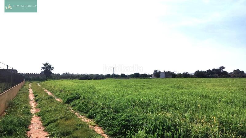 Foto 0bb87529-013f-436e-85c1-c16414508e49. Finca rústica a Binissalem