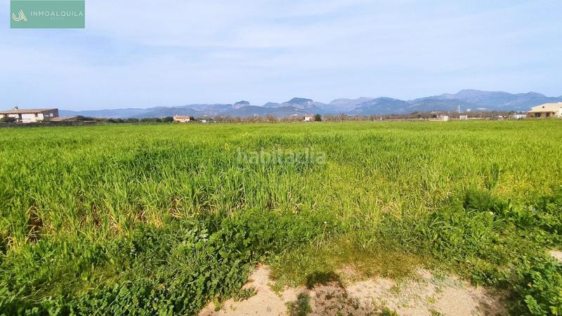 Foto 5ade845e-93c1-44ad-a9a7-3c71ee52bd80. Finca rústica a Binissalem