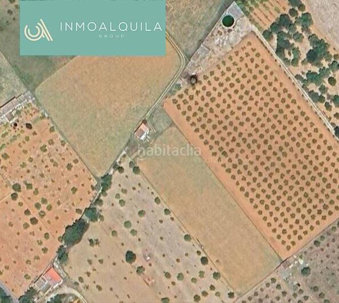 Foto 5e2591e5-9810-4168-9ec7-cb60431702bd. Finca rústica a Binissalem