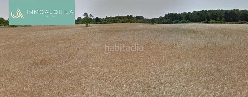 Foto 0fd085ef-507f-4bf3-a4e0-1502a258c425. Terrain résidentiel dans Sineu