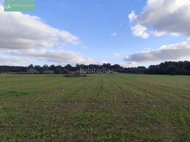 Foto 4ff2412c-929e-4448-8f25-b187c6289738. Terrain résidentiel dans Sineu