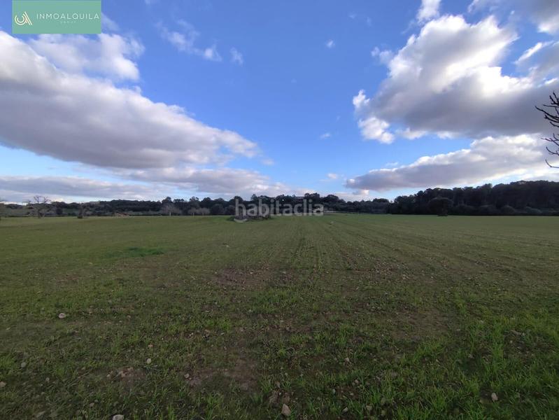 Foto 515e6c43-517e-46ae-9370-28e5a4ee33ac. Terrain résidentiel dans Sineu