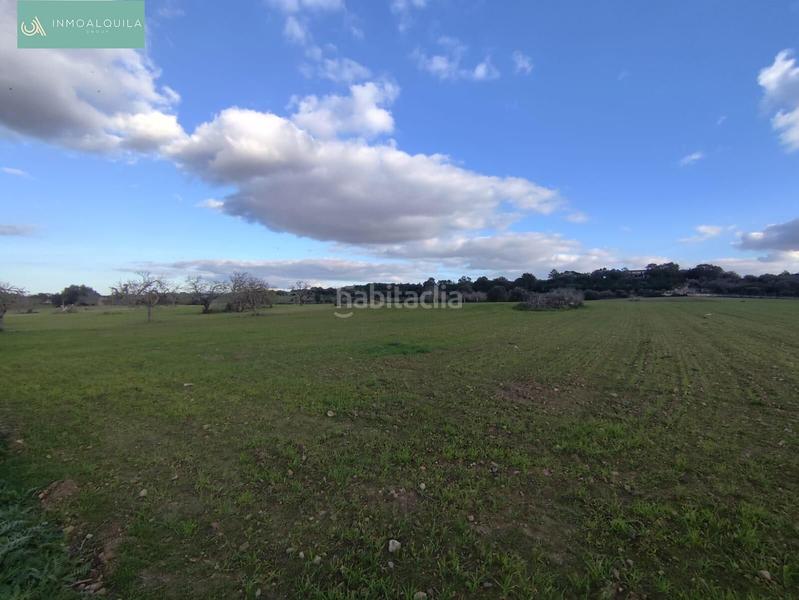 Foto 52a65848-6810-49d5-8eed-431c90ff6aea. Terrain résidentiel dans Sineu