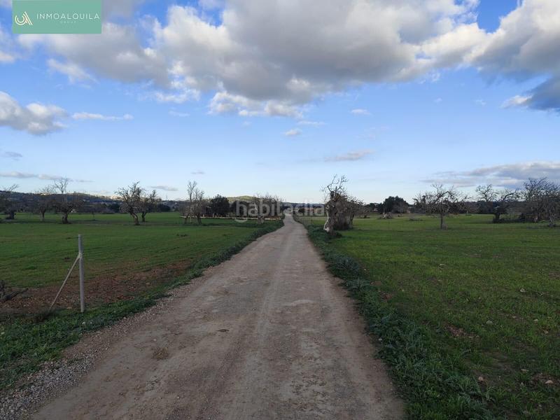 Foto 6283b875-932e-44a9-b5fd-e8d190c3f4cc. Terrain résidentiel dans Sineu